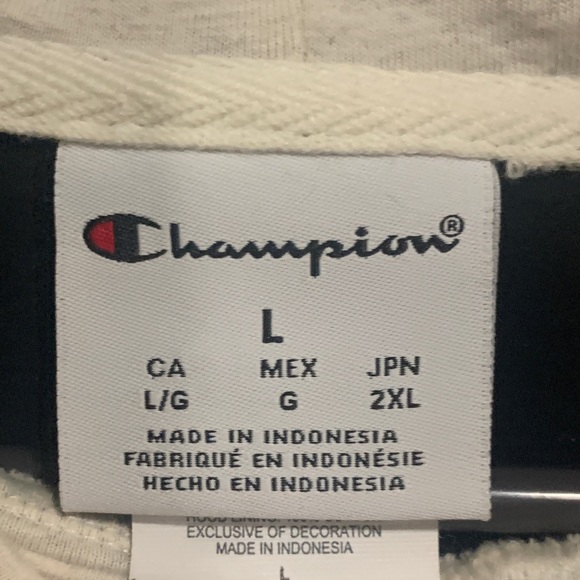 Never worn , Champion Hoodie . Large - Picture 4 of 4